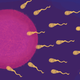 An illustration of human sperm cells racing to fertilize an egg.